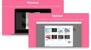 Robin pro photo gallery Banner