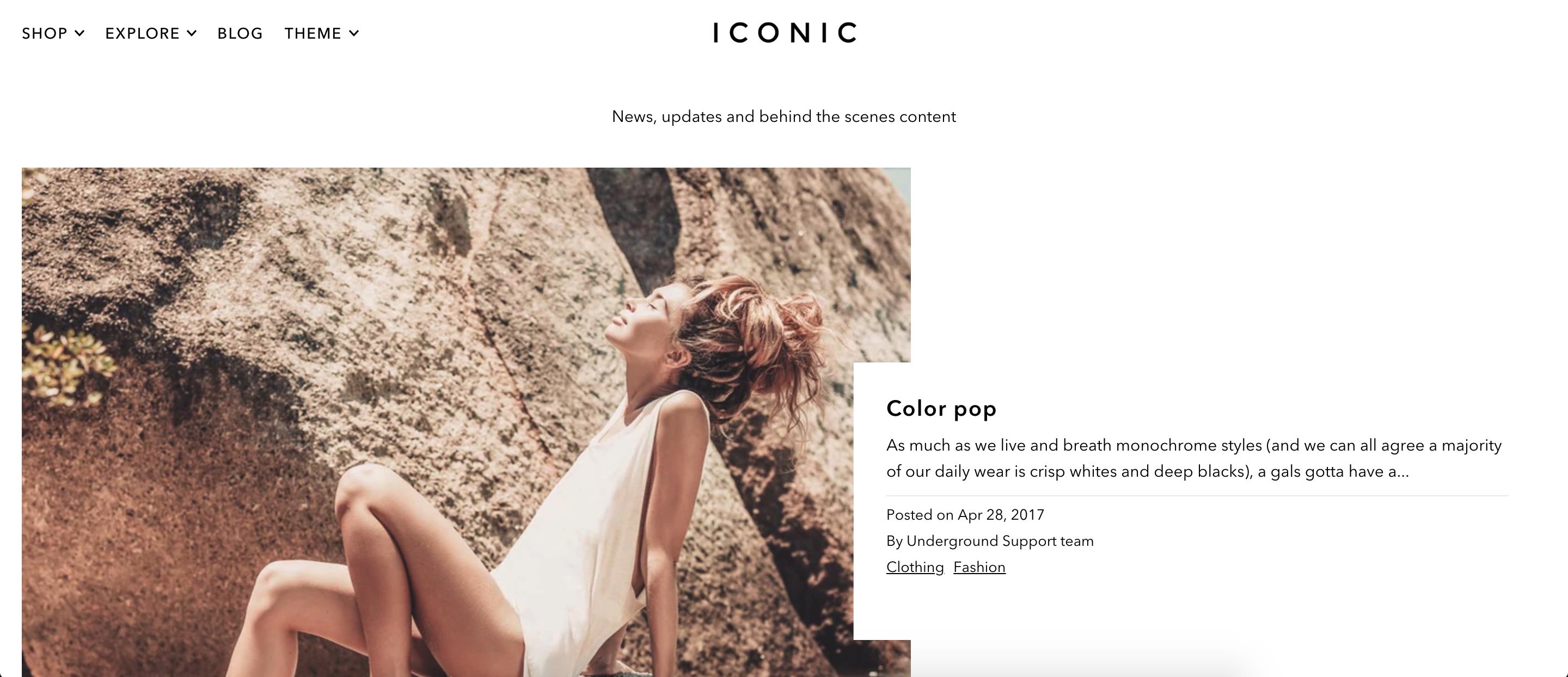 icon shopify blog theme