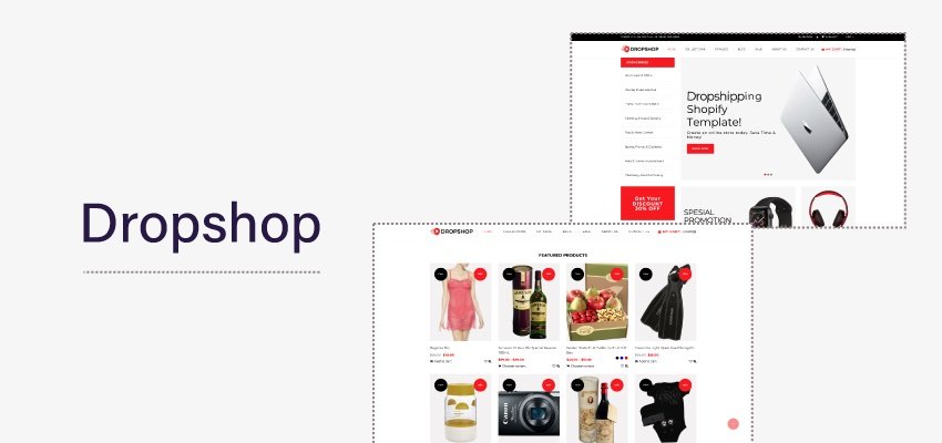 15 Best Shopify Themes For Dropshipping In 2024 | TinyIMG