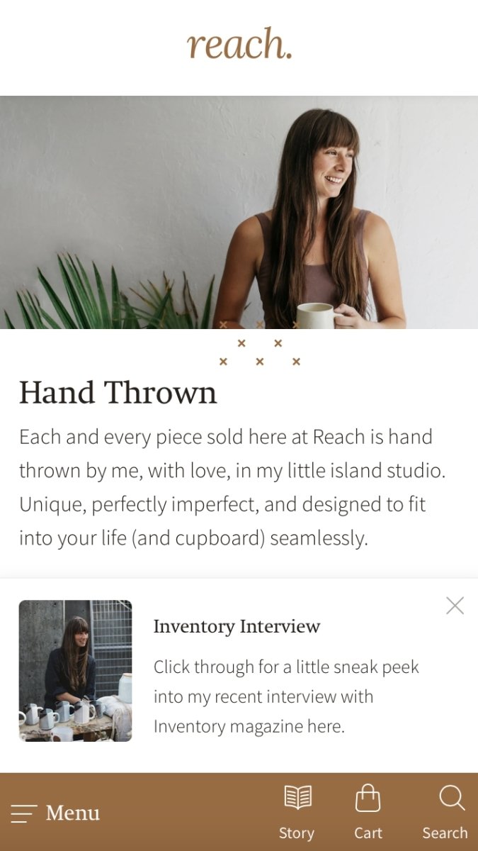 Reach theme mobile homepage
