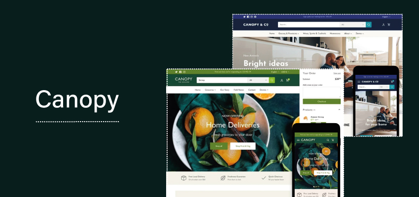 canopy shopify theme for dropshipping business