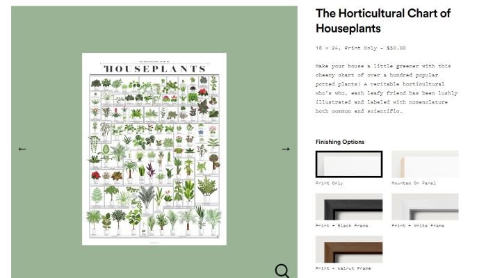 custom posters as a trending product on Shopify