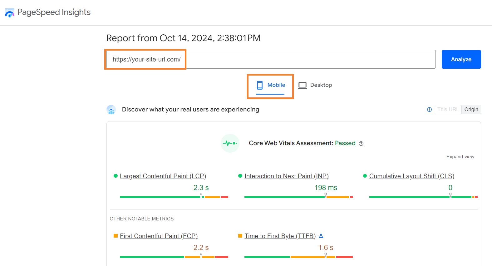 PageSpeed Insights Core Web Vitals report example