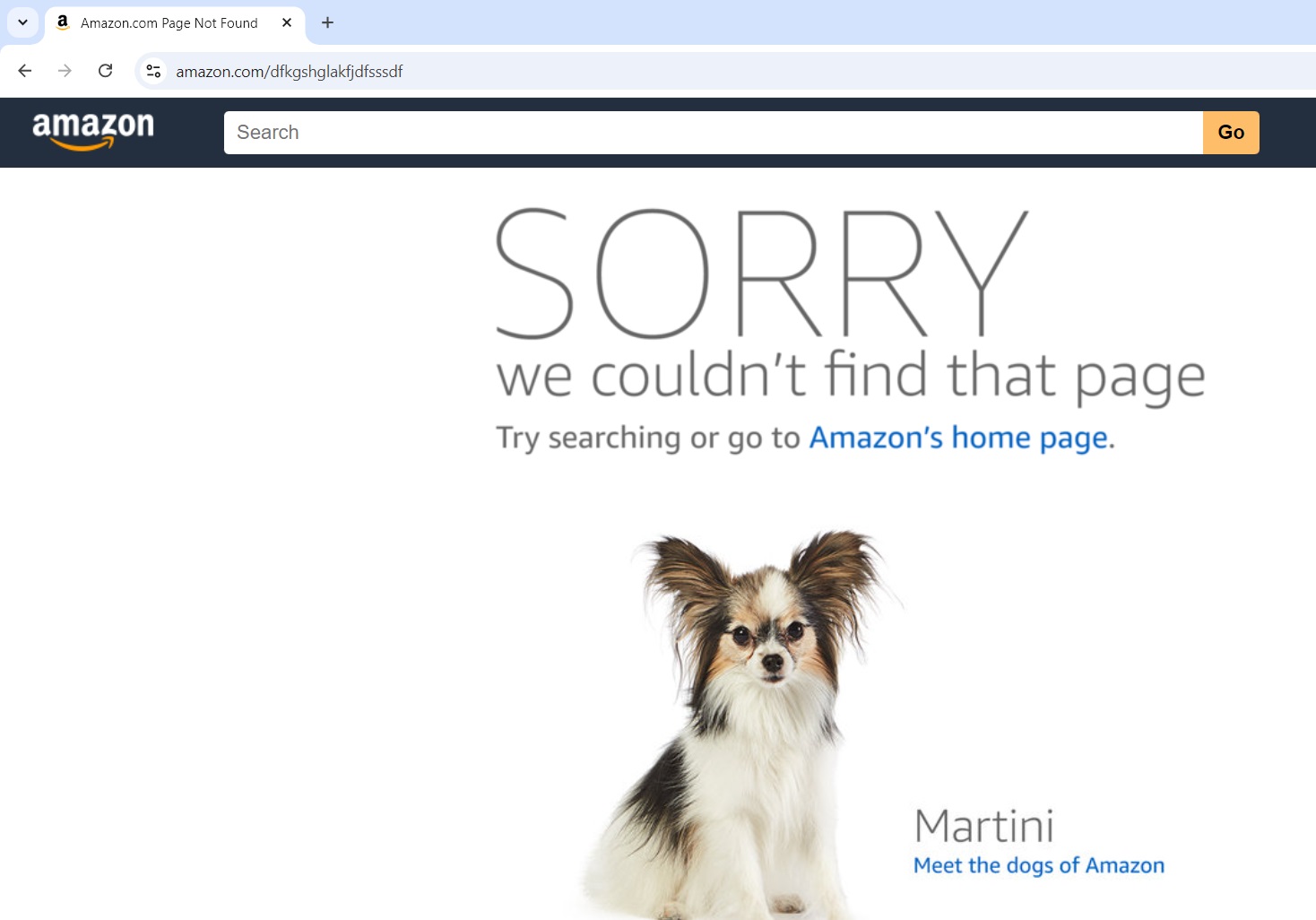 Customized Amazon 404 error page example