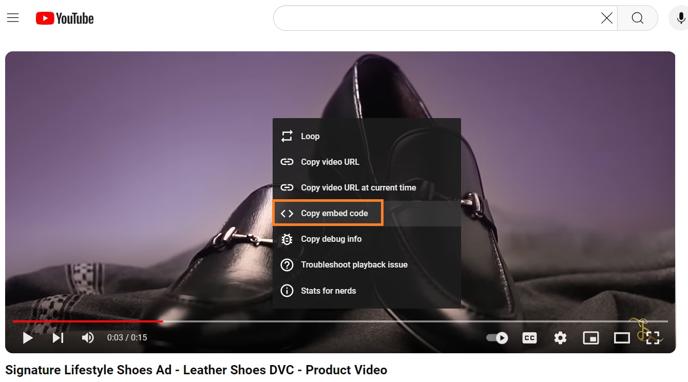 Copy embedded code from Youtube