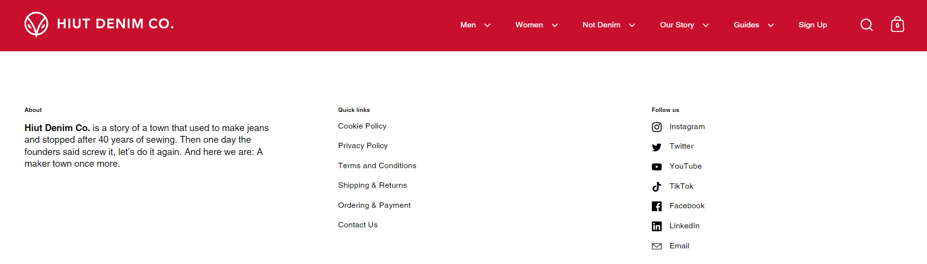 Example of social media links in the footer