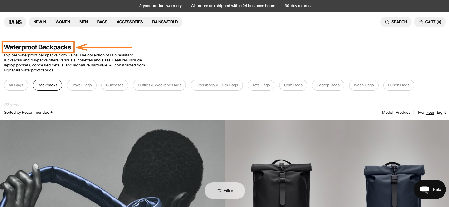Collection page H1 tag example