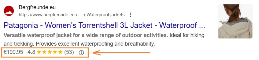 Rich snippet example