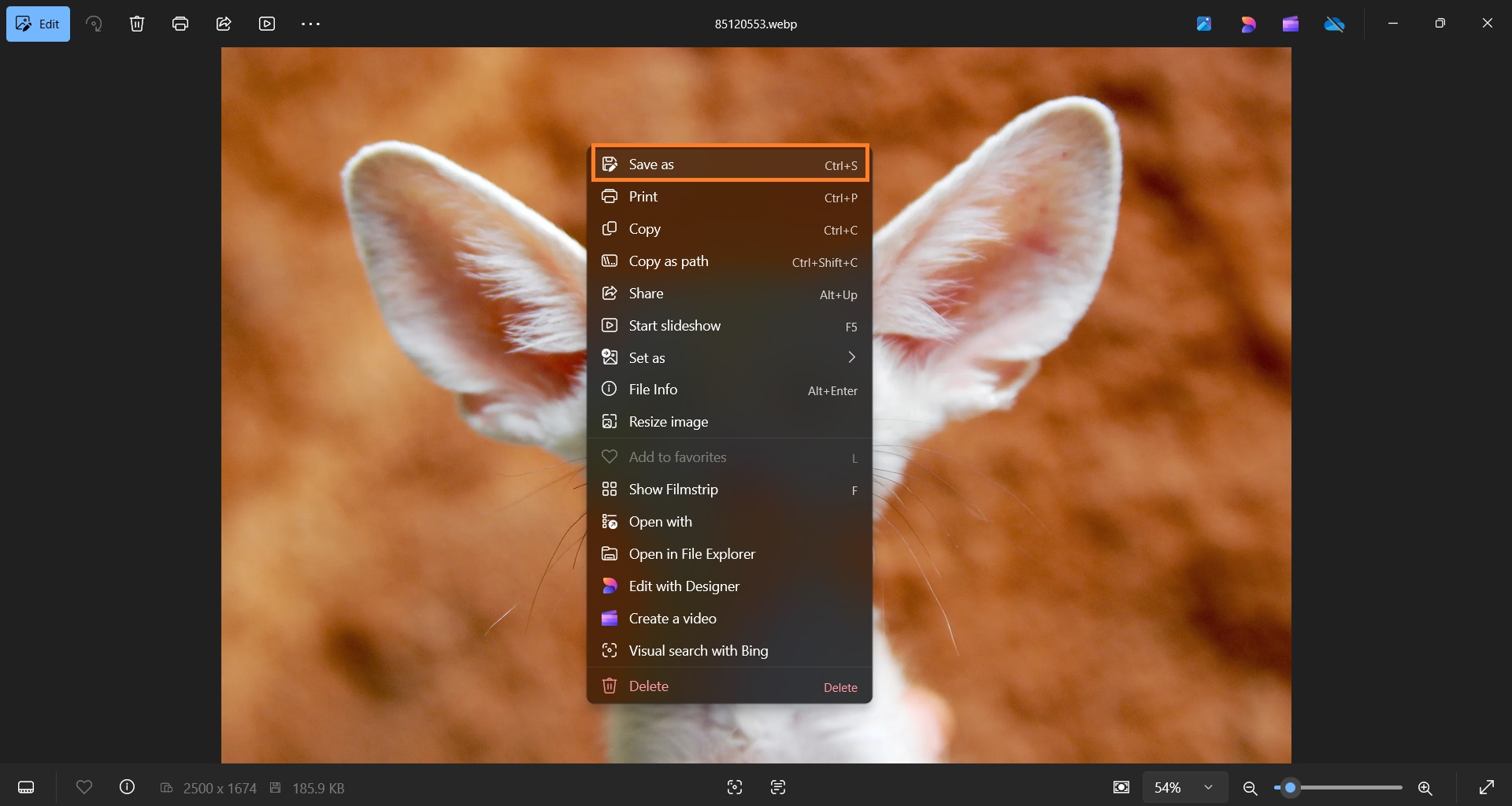 Change image format in Photos app