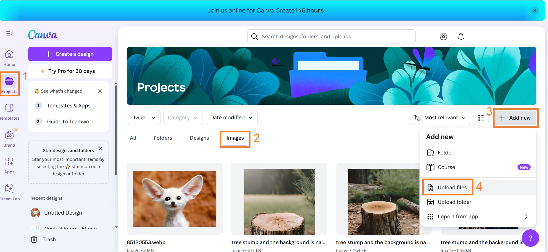 Open WebP file in Canva