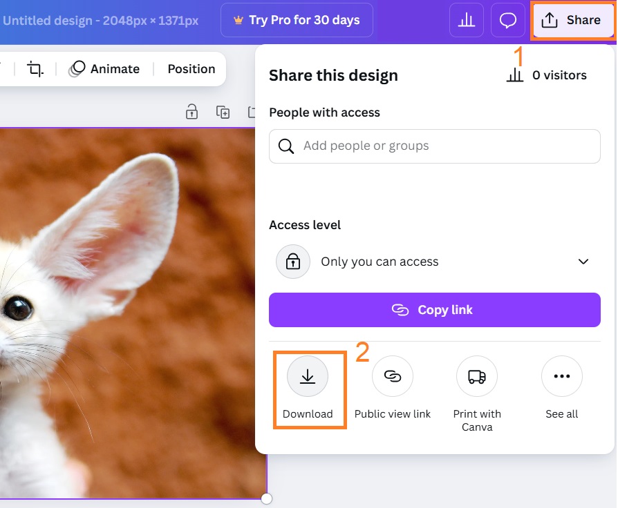 Change image format in Canva