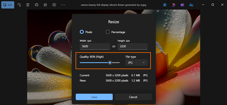 Compress image in Windows Photos app