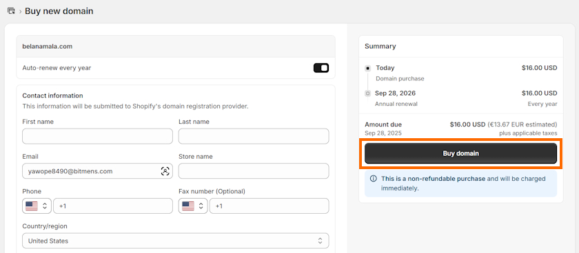 Complete domain purchase on Shopify