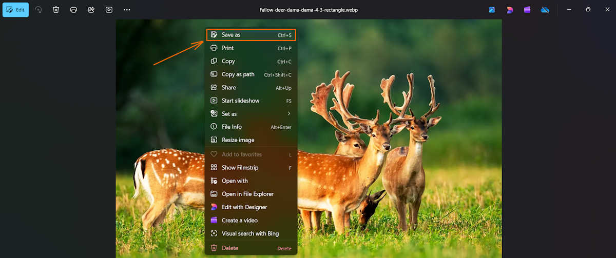Save as function in Photos app