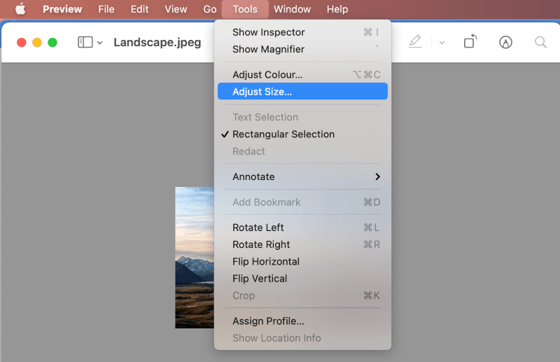Easy Ways To Reduce A Jpeg File Size Tinyimg