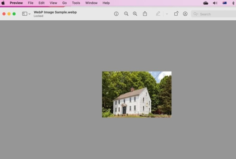 How To Convert WebP To JPG On PC Or Mac (2024) | TinyIMG