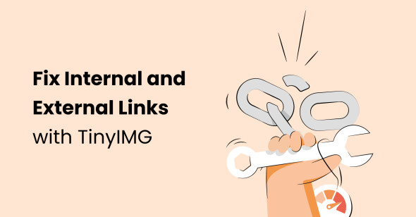 How to analyze and fix internal and external links with TinyIMG
