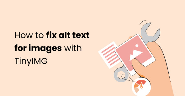 How to identify and fix image alt text issues using the TinyIMG extension