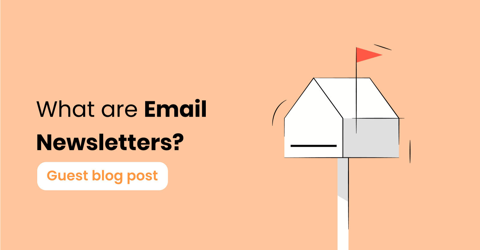 What are Email Newsletters? How to create Engaging Newsletters